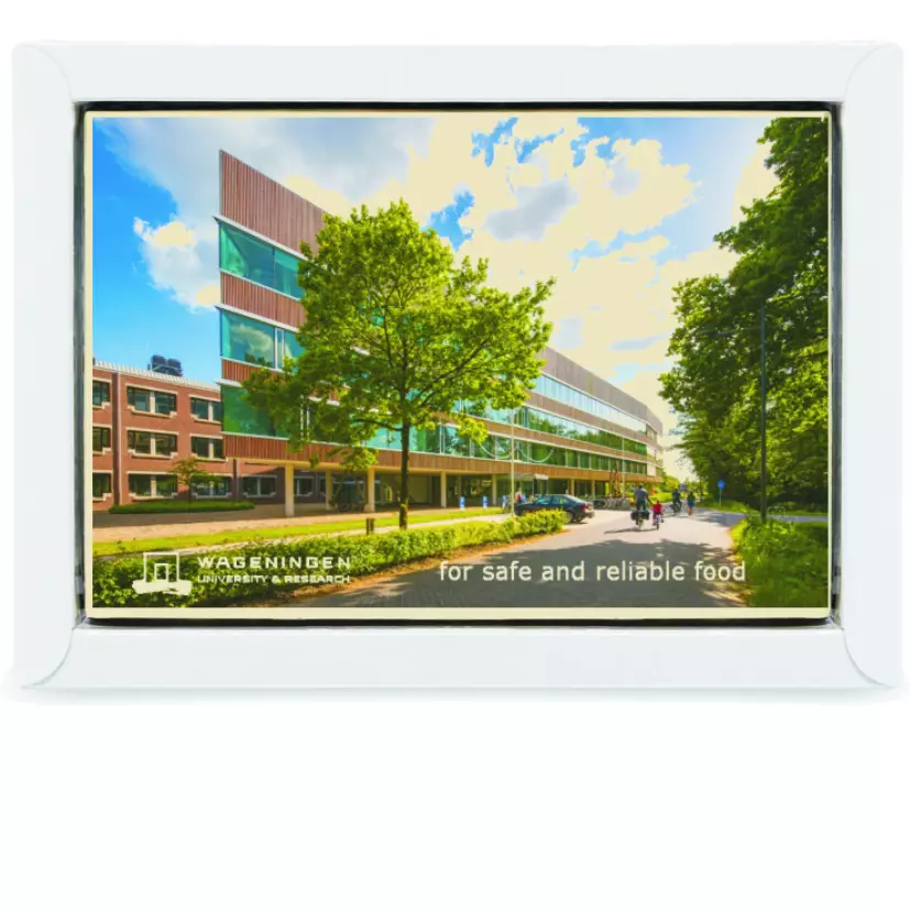 Tablet met opdruk 13 x 9 cm