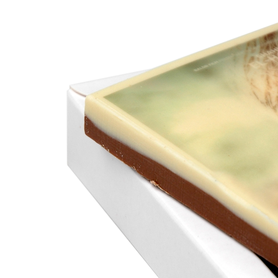 chocolade fotoplaat