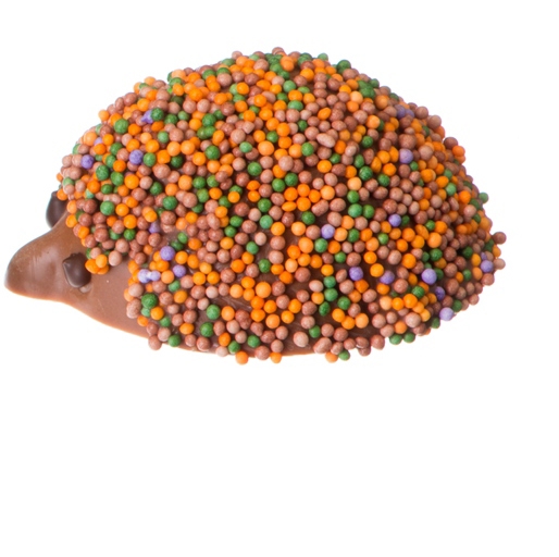 Herfst praliné egeltjes